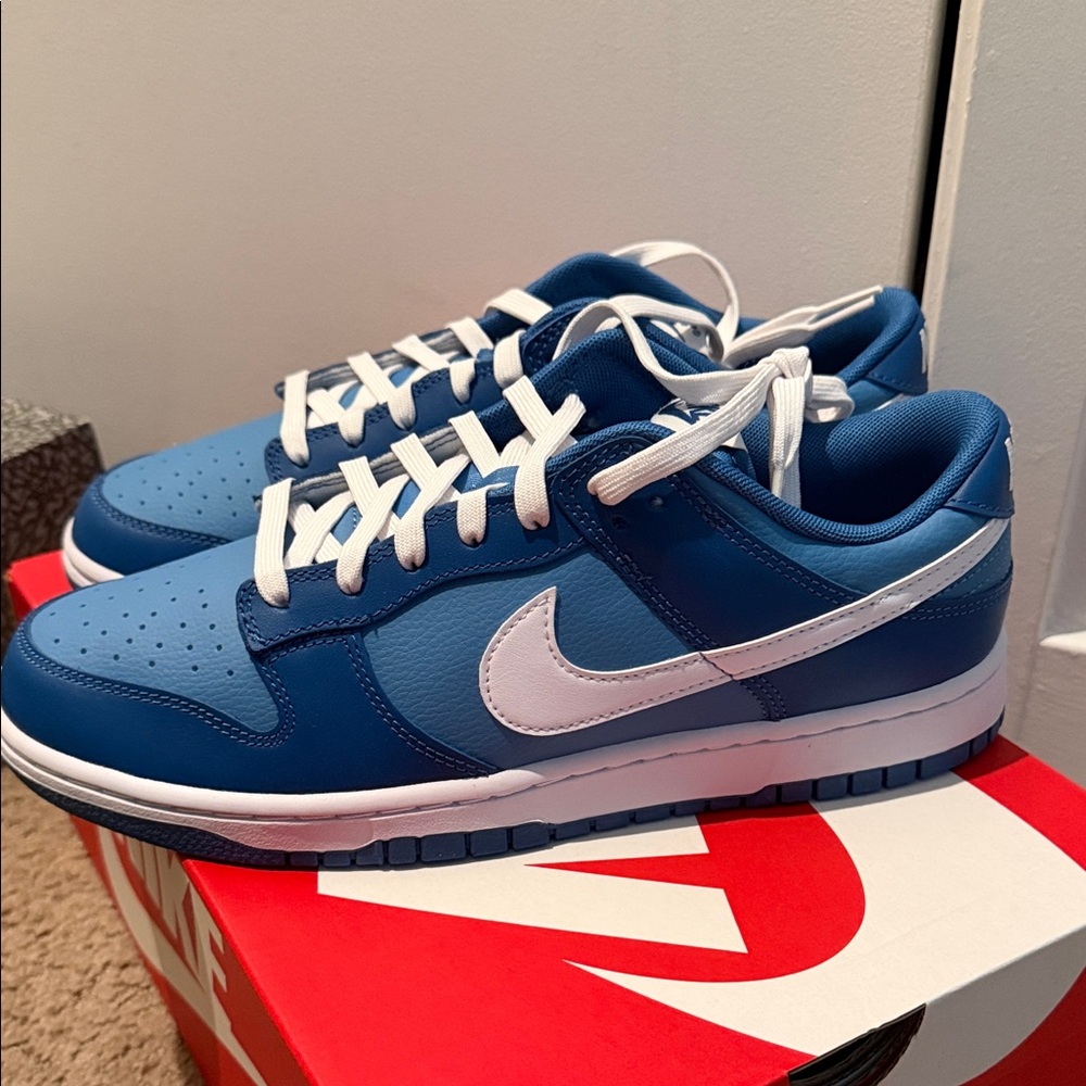 Nike Dunk Low